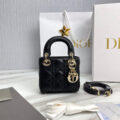 The Lady Dior Bag