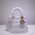 The Lady Dior Bag